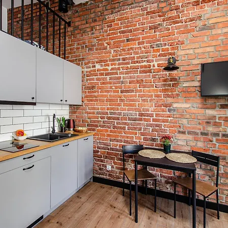 Loft Center Apartments- Parking, Wifi, 24h Check-in Apartament Wrocław